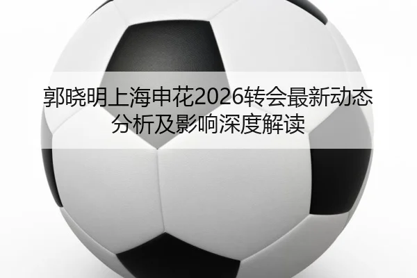 郭晓明上海申花2026转会最新动态分析及影响深度解读