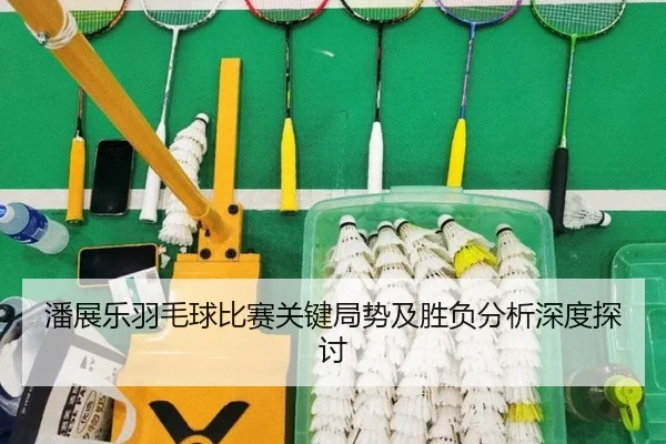 潘展乐羽毛球比赛关键局势及胜负分析深度探讨